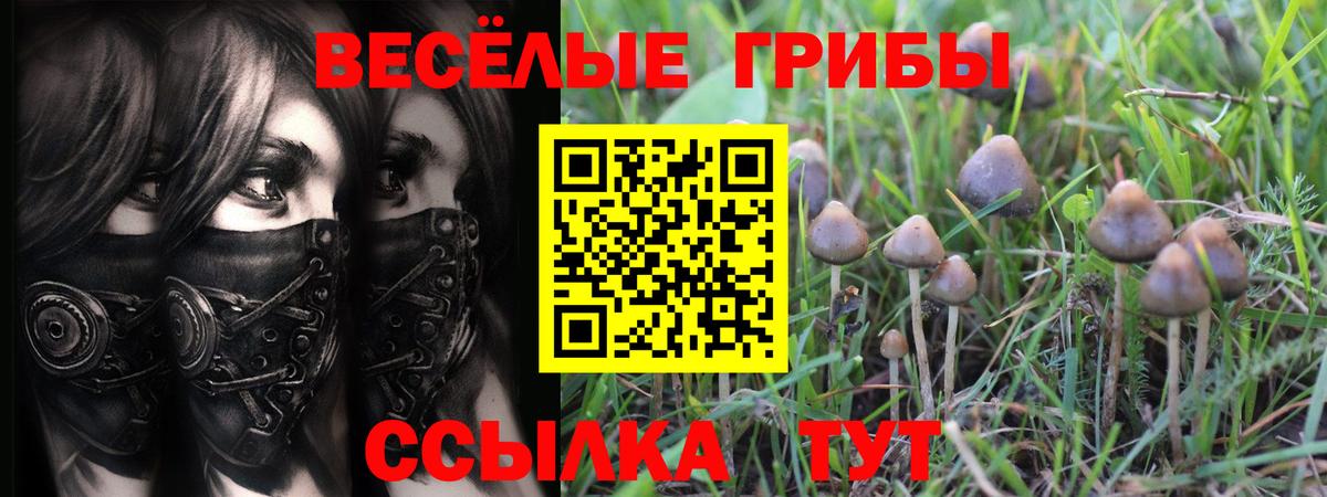 Галлюциногенные грибы прущие грибы Новоалтайск